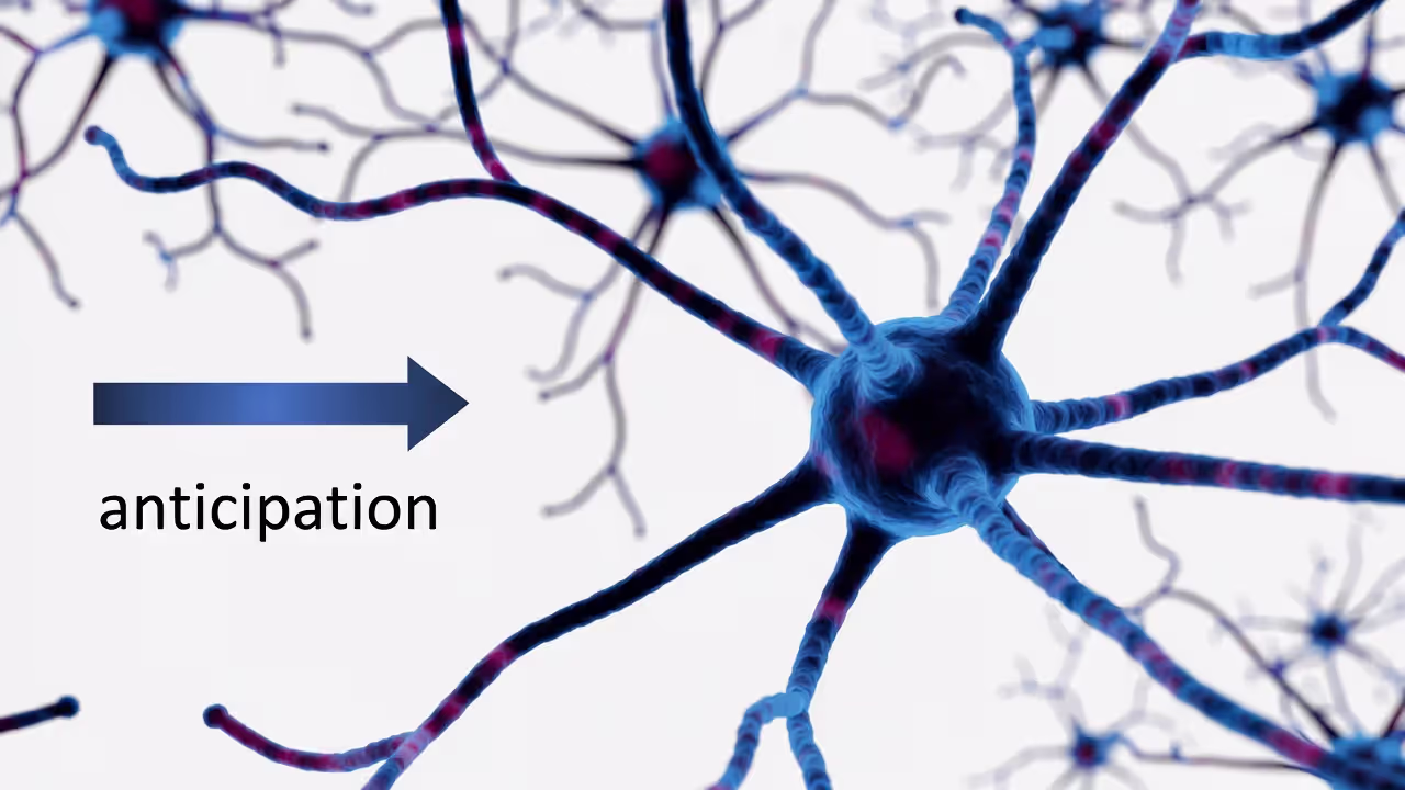 Dopamine and anticipation
